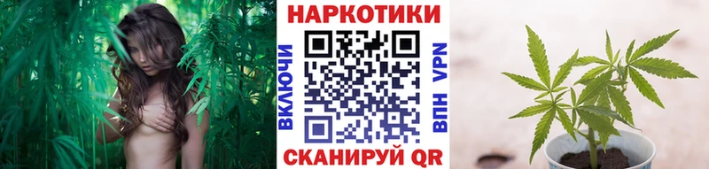 Магазин наркотиков Кодинск Кокаин  OMG ССЫЛКА  Гашиш  Мефедрон  А ПВП 