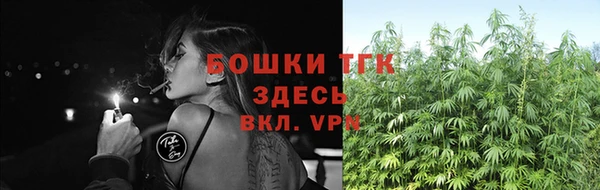 стафф Сафоново