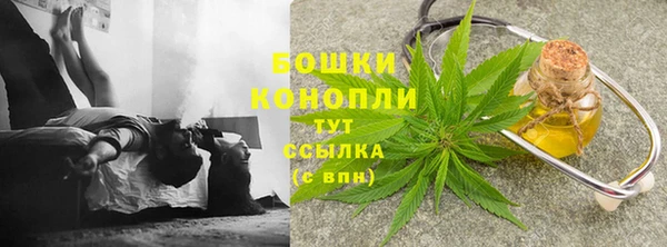 бутират Белокуриха