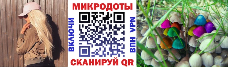 дарк нет состав  Кодинск  Псилоцибиновые грибы ЛСД 
